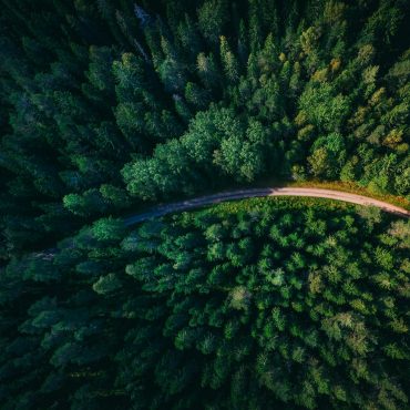 Roadmap To Netzero