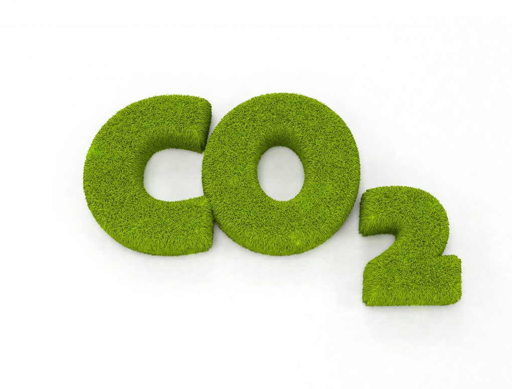 Co2, Grass,letters,forming,"co2"